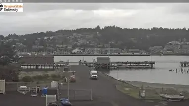 OSU Ship Operations Pier, Newport Live Cam