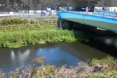 Fiume Nogawa al ponte Enoki, Chofu