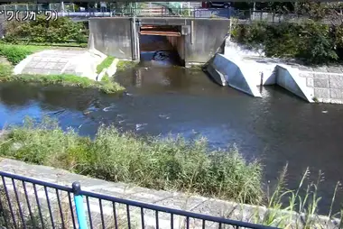 Fiume Nogawa a Higashi-Nogawa, Komae