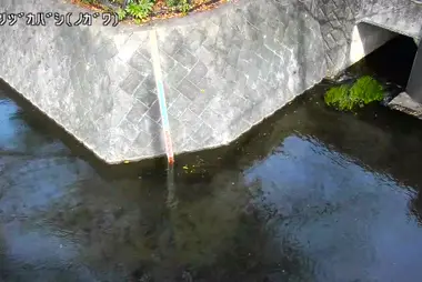 Fiume Nogawa al ponte Ichirizuka, Kokubunji