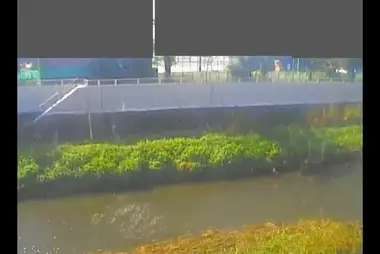 Fiume Nogawa al ponte Kamata, Setagaya