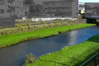 Fiume Nogawa al ponte Mabashi, Chofu