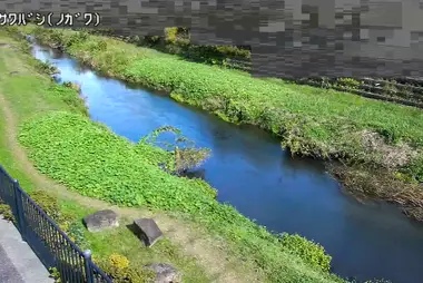 Fiume Nogawa al ponte Osawa, Mitaka
