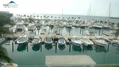 Oceans Edge Resort y Marina Key West, Florida cámara web en vivo