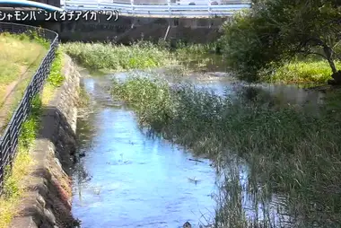 Rivière Ochiai au pont Bishamon, Higashikurume