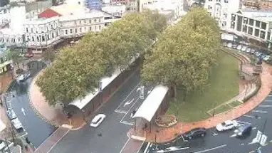 ऑक्टागन, डुनेडिन लाइव वेबकैम प्रसारण