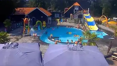 Kemping Koeksebelt w Overijssel kamera na żywo