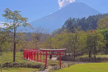 Ninjadorp Oshino, Yamanashi