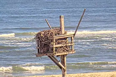 Osprey Nest, Sandy Hook