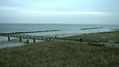 Hundestrand Wustrow Live Cam