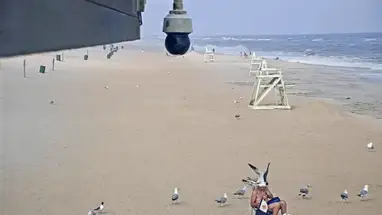 Tobay Beach, New York Live Cam