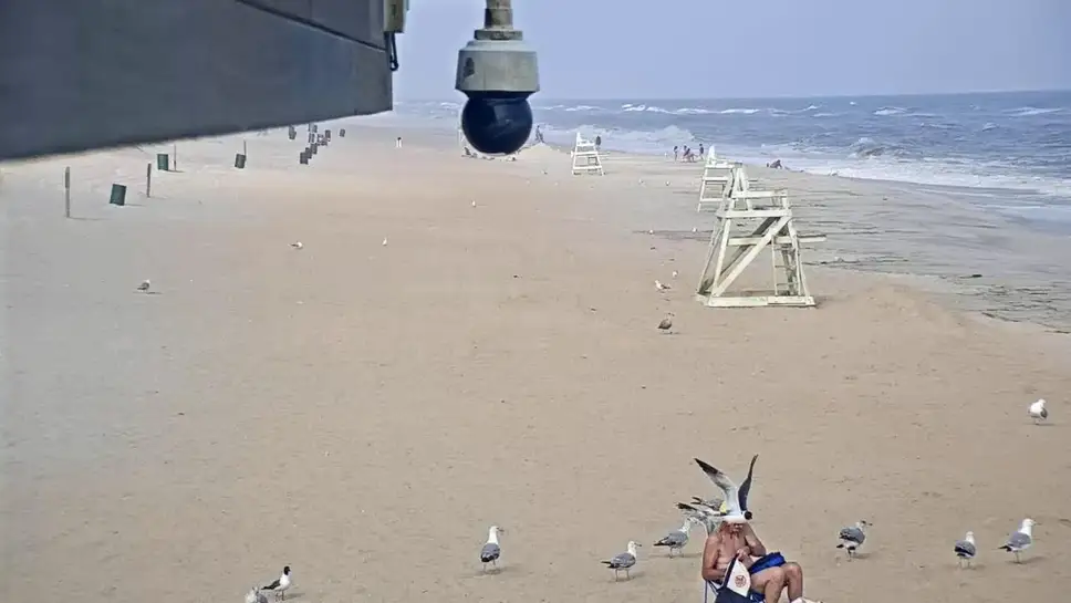 Live Webcam Tobay Beach, New York