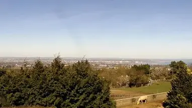 爱尔兰的围场骑行中心 在线网络摄像头