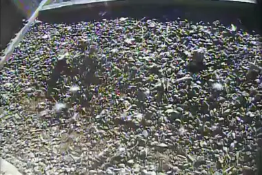 Peregrine Falcon Nest Box, Boswell Energy Center, Cohasset
