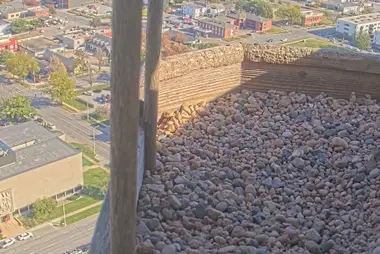 Cassetta nido del falco pellegrino, Campidoglio dello Stato del Nebraska