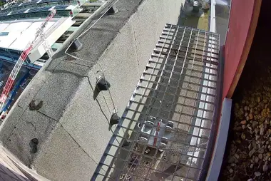 Peregrine Falcon Nest Ledge, Ghent