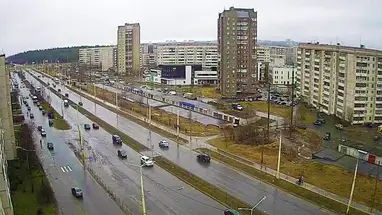 Веб-камера Пешеходный переход на Лососинском шоссе в реальном времени