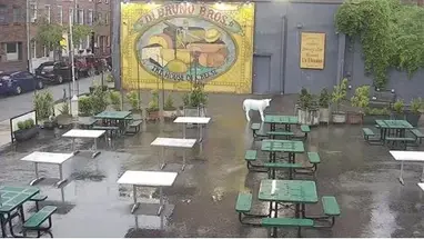 Piazza Dibruno, PA cámara web en vivo