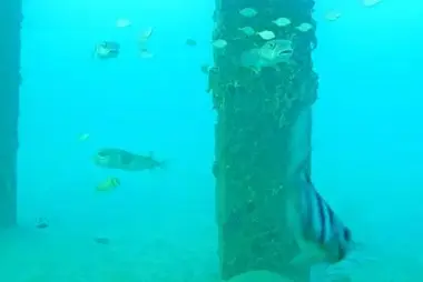 Pompano Beach Underwater, FL