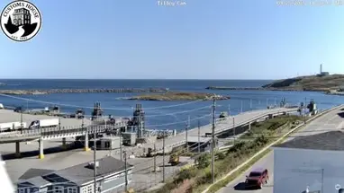 蒂利 荷兰巴斯克港 在线网络摄像头