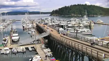 Cảng Cảng Friday phát trực tiếp qua webcam