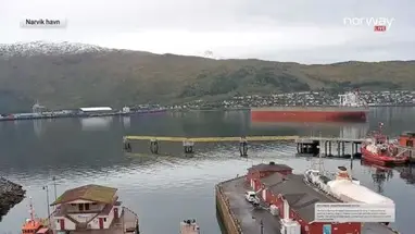Port w Narwiku na żywo, Norwegia kamera na żywo