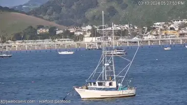Port San Luis, California Live Cam