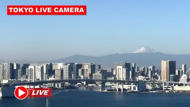 Regenboogbrug, Tokio online-webcam