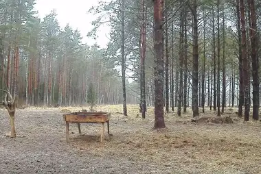 Red Deer, Estonia