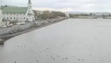 Rainbow Street, Reykjavik Live Cam