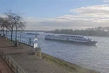 Rhine River Cam, Rees