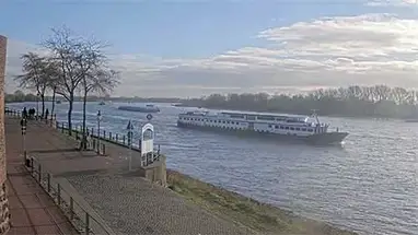 Rhine River, Rees Live Cam