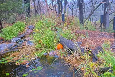 Richardson Nature Center, Bloomington