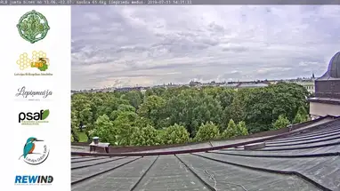 Bee Hives, Riga Live Cam