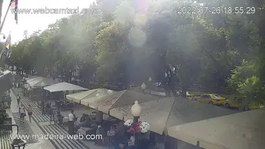 Ritz Madeira, Avenida Arriaga webcam dal vivo