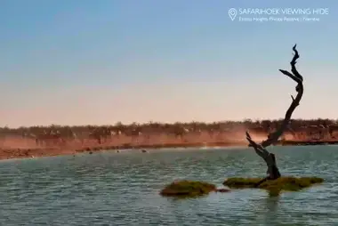 Pozza d'acqua di Safarihoek, Etosha Heights
