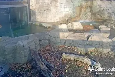 Saint Louis Zoo, Missouri