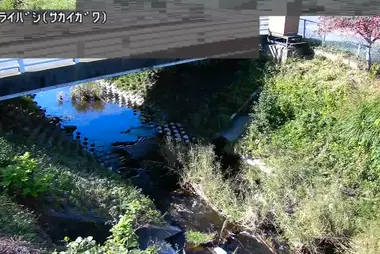 Fiume Sakai al ponte Horai, Machida