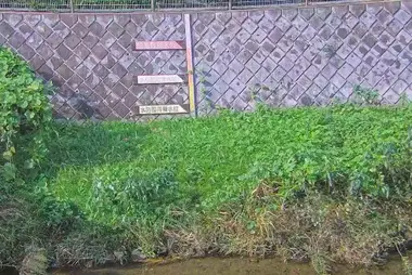 Fiume Sakai al ponte Sakai, Machida