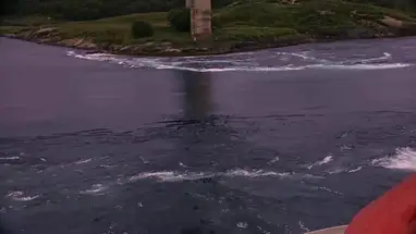 Saltstraumen, Bodo kamera na żywo