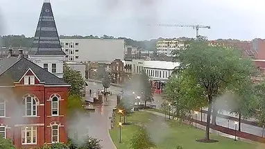 Parque Samford, Castaño cámara web en vivo