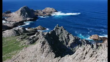 Farallon Islands, California Live Cam