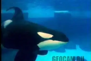 SeaWorld, San Diego