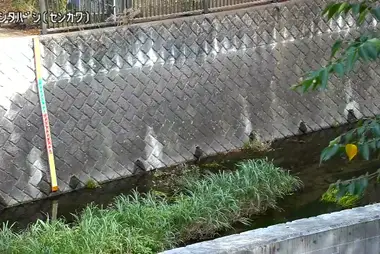 Fiume Sengawa al ponte Miyashita, Setagaya