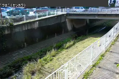 Fiume Sengawa al ponte Nagakubo, Mitaka