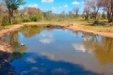 Abrevadero Serondella, Thornybush