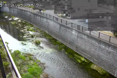 Fiume Shakujii al ponte Atago, Nerima