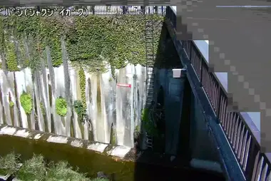 Rivière Shakujii au pont Kaga, Itabashi