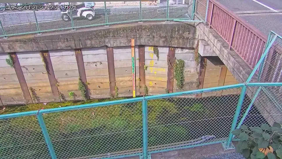 Canlı web kamerası Shakujii Nehri, Koshin Köprüsü, Nerima