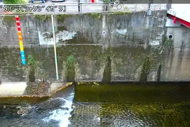 Fiume Shakujii al ponte Kubota, Itabashi